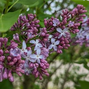 Spring is FINALLY HERE!